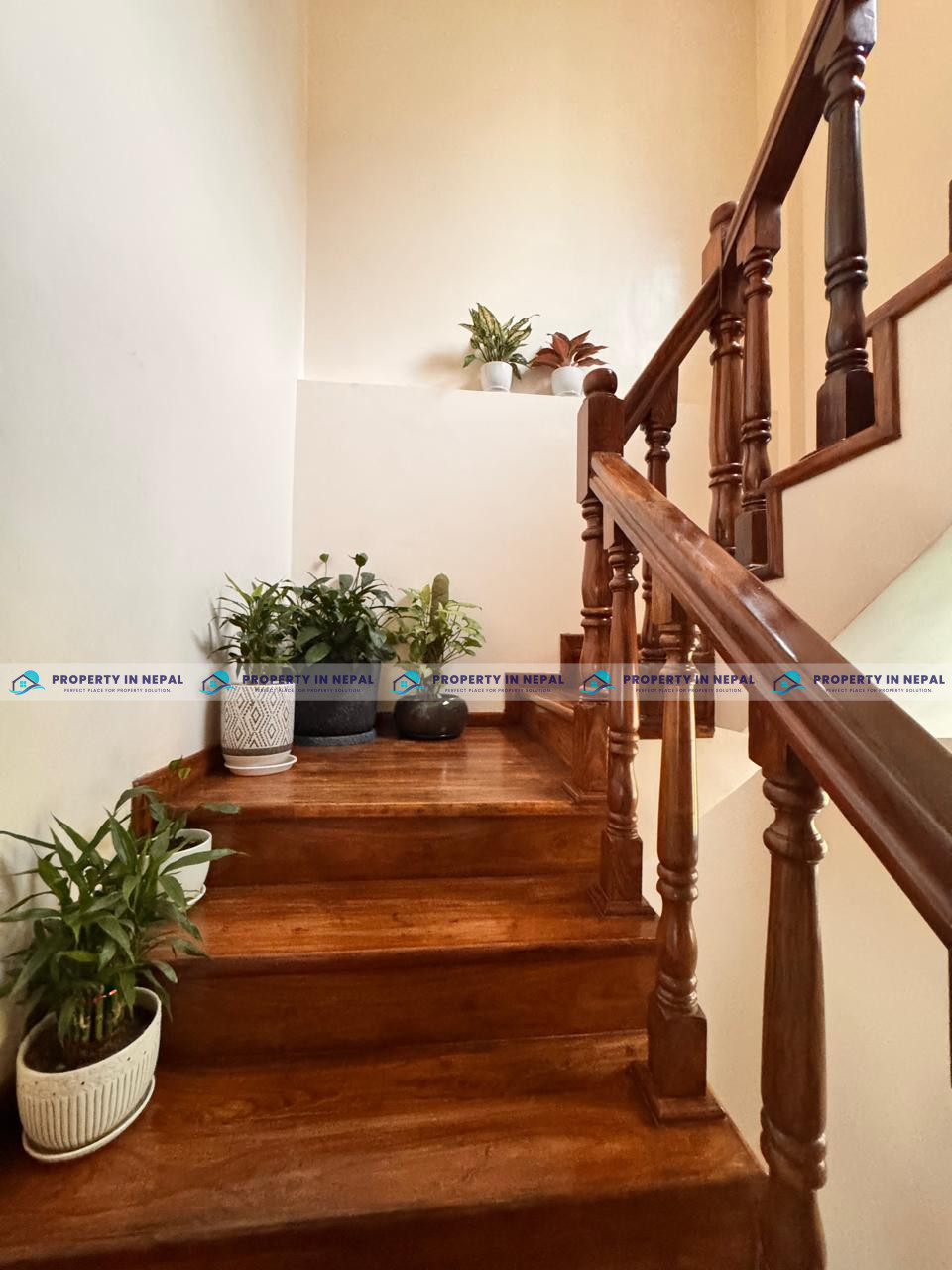 House For Sale At kantipur Colony image 6